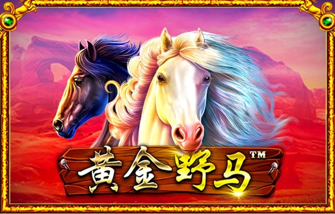港澳宝典111333cσm查询348期